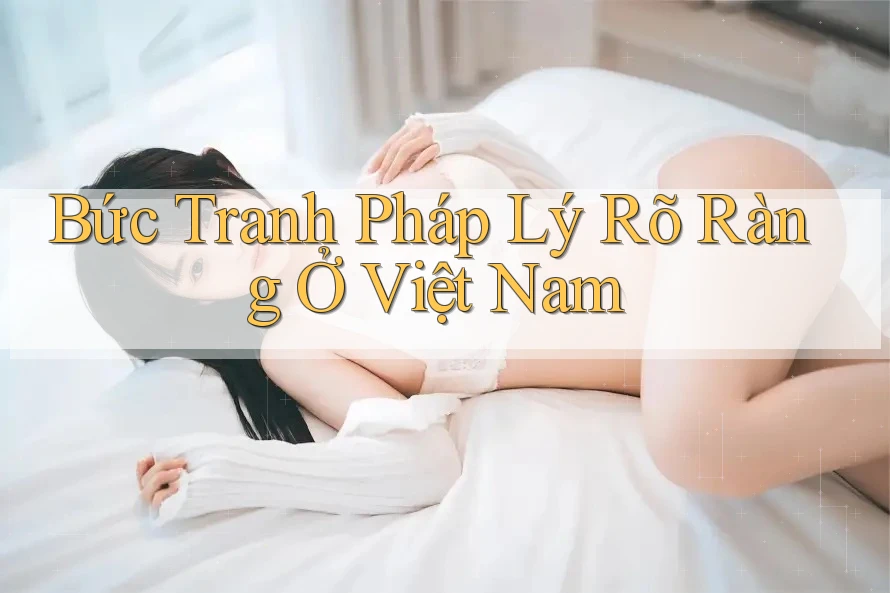Bức Tranh Pháp Lý Rõ Ràng Ở Việt Nam