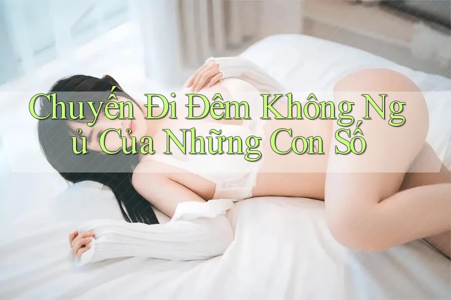 Chuyến Đi Đêm Không Ngủ Của Những Con Số
